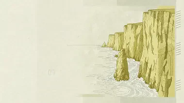 Organizacje pozarządowe